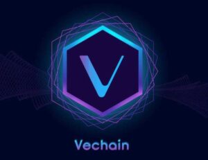 VeChain Governance: Implications for Investors and Traders