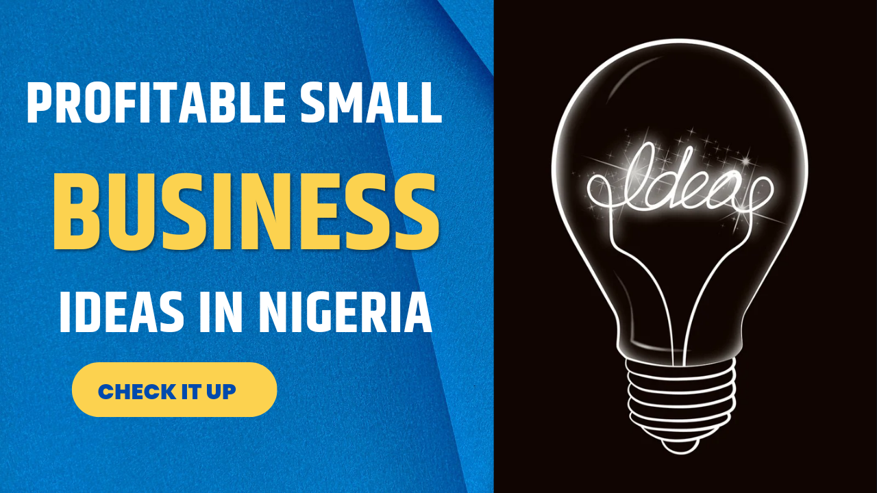 Profitable Small Business Ideas For Nigerian In 2024